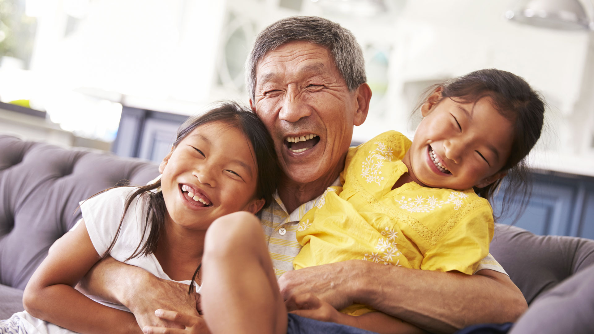 illinois probate act | 상속, 유언, 유산, 의료보험 (메디케이드) 변호사
